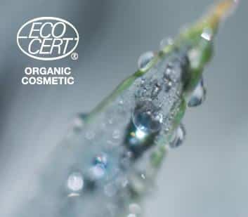 Orgaaniline kosmeetika Esse